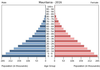 population pyramid