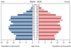 population pyramid