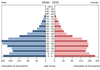 population pyramid