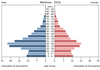 population pyramid