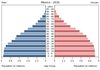 population pyramid