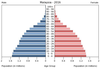 population pyramid