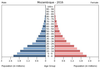 population pyramid