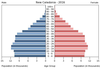 population pyramid
