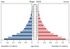 population pyramid