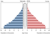 population pyramid