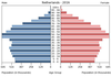 population pyramid