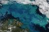 Brilliant shades of blue and green explode across the Barents Sea in this natural-color satellite image taken on 14 August 2011. The color was created by a massive bloom of phytoplankton that is common in the area each August. The clear view is a rare treat since the Barents Sea is cloud-covered roughly 80 percent of the time in summer. Plankton blooms spanning hundreds or even thousands of kilometers occur across the North Atlantic and Arctic Oceans every year. Many species thrive in the cooler ocean waters, which tend to be richer in nutrients and plant life than tropical waters.
The area in this image is located immediately north of the Scandinavian peninsula. The region is a junction where several ocean current systems - including the Norwegian Atlantic, the Persey, and east Spitsbergen currents - merge and form a front known as the North Cape Current. The intersecting waters, plus stiff winds, promote mixing of waters and of nutrients from the deep. Image courtesy of NASA.