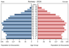 population pyramid
