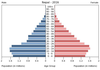 population pyramid