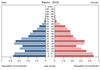 population pyramid