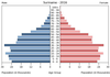 population pyramid