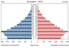 population pyramid