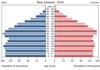 population pyramid