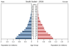 population pyramid