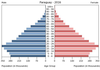 population pyramid