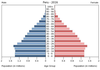population pyramid
