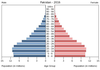 population pyramid