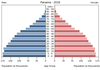 population pyramid