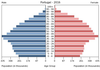 population pyramid