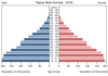 population pyramid