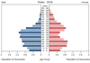 population pyramid