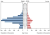 population pyramid