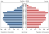 population pyramid
