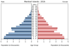 population pyramid