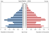 population pyramid
