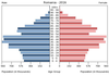 population pyramid