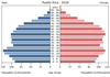 population pyramid