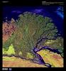 The Lena River, some 4,500 km (2,800 mi) long, is one of the longest rivers in the world. The Lena Delta Reserve, shown in this enhanced satellite photo, is the most extensive protected wilderness area in Russia; it serves as an important refuge and breeding ground for many species of Siberian wildlife. The wave-dominated delta of the Lena River is 30,000 sq km (11,580 sq mi) making it one of the largest of its kind in the world. Image courtesy of USGS.