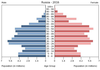 population pyramid
