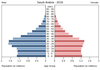 population pyramid