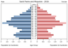 population pyramid