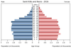 population pyramid