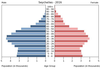 population pyramid