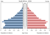 population pyramid