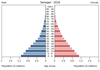 population pyramid