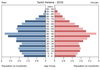 population pyramid