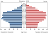 population pyramid