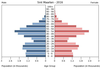 population pyramid