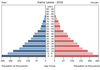 population pyramid
