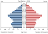 population pyramid