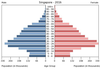 population pyramid