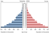 population pyramid