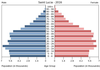 population pyramid
