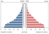 population pyramid