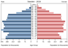 population pyramid